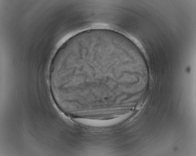 X0000116781342201001281113