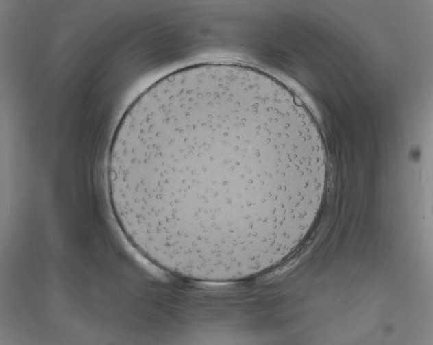 X0000116781343201001281113