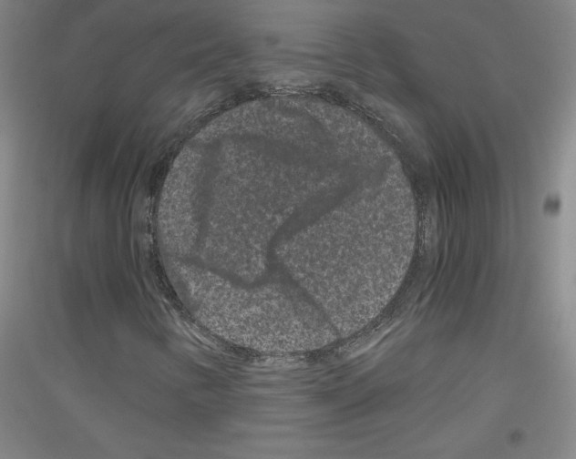 X0000116781346201001281113