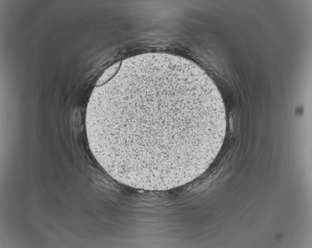 X0000116781347201001281113