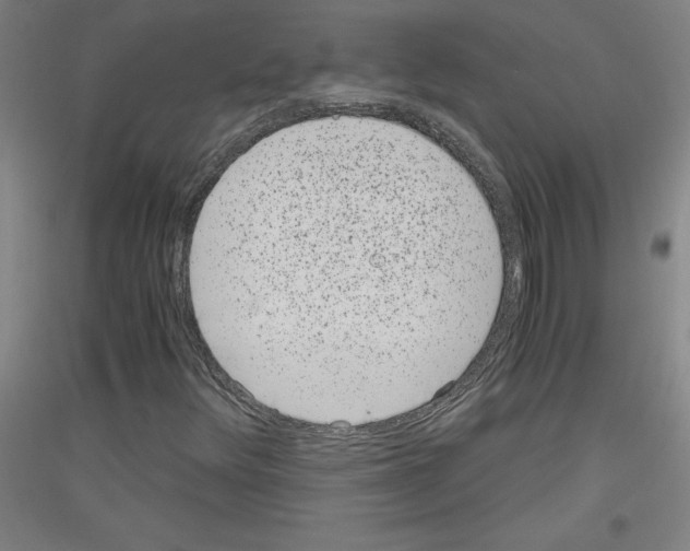 X0000116781348201001281113