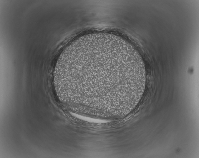 X0000116781349201001281113