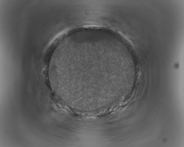 X0000116781351201001281113