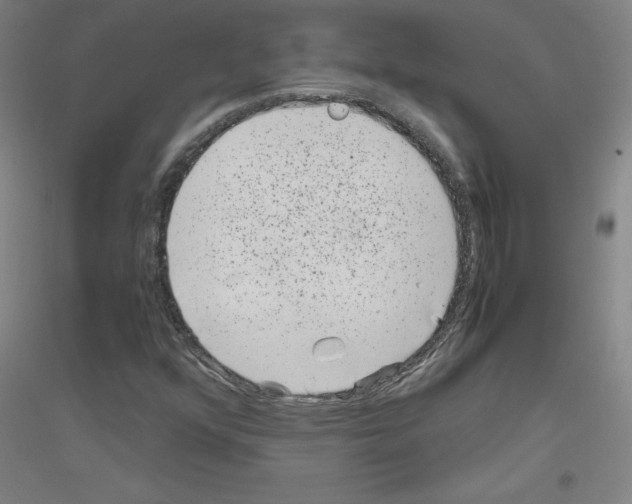 X0000116781352201001281113