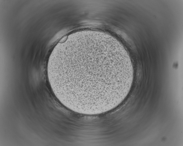 X0000116781354201001281113