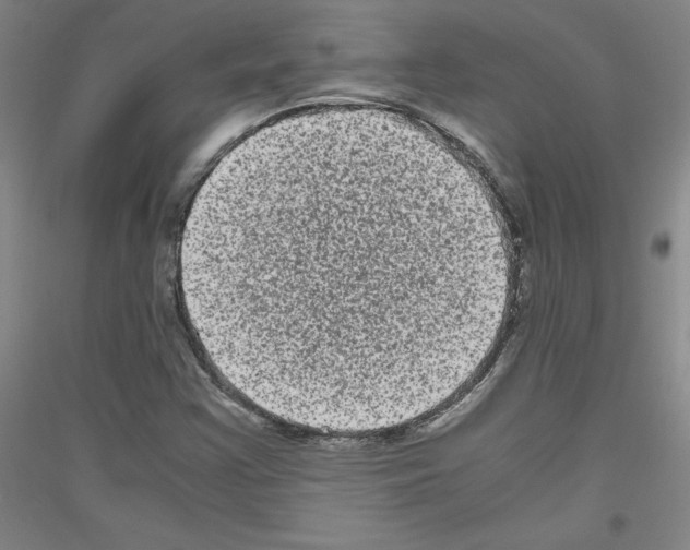 X0000116781355201001281113