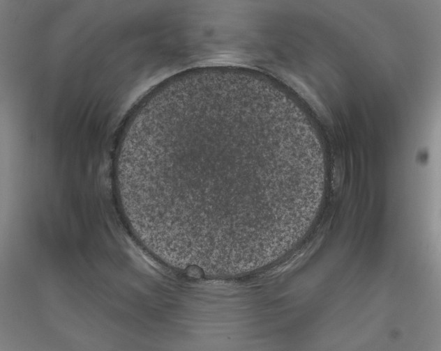 X0000116781356201001281113