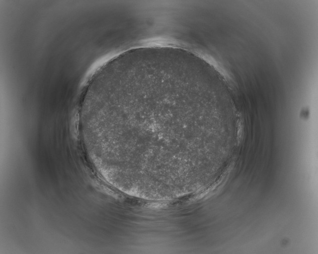 X0000116781358201001281113