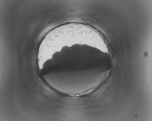 X0000116781359201001281113