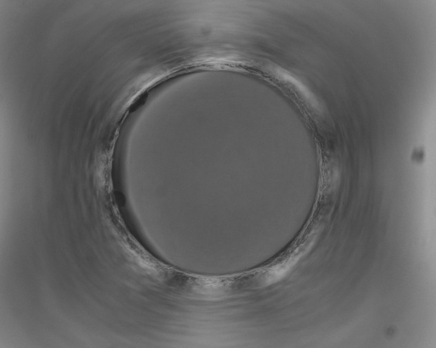 X0000116781361201001281113