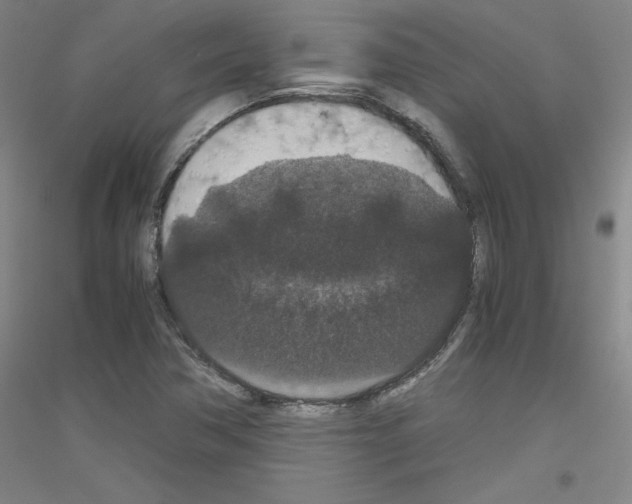 X0000116781362201001281113