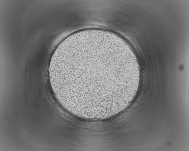 X0000116781363201001281113