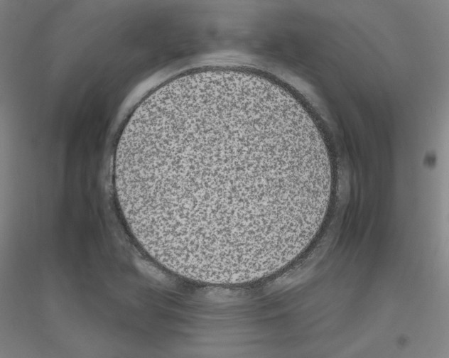 X0000116781366201001281113