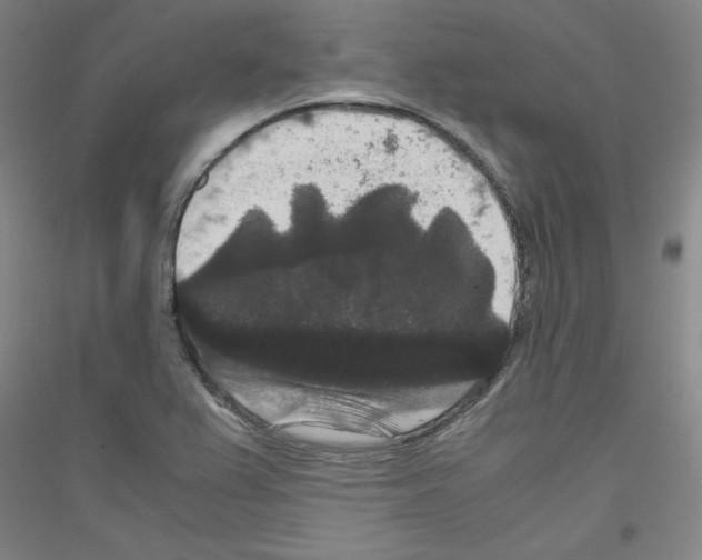 X0000116781367201001281113