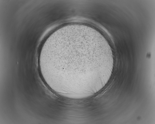 X0000116781368201001281113