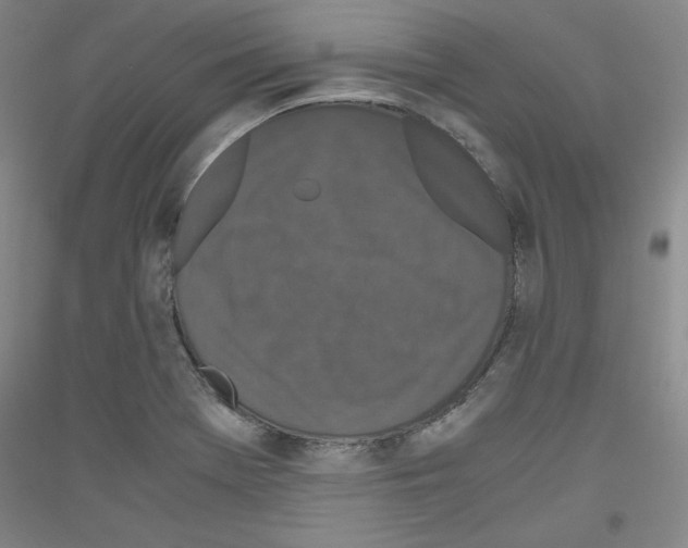 X0000116781369201001281113