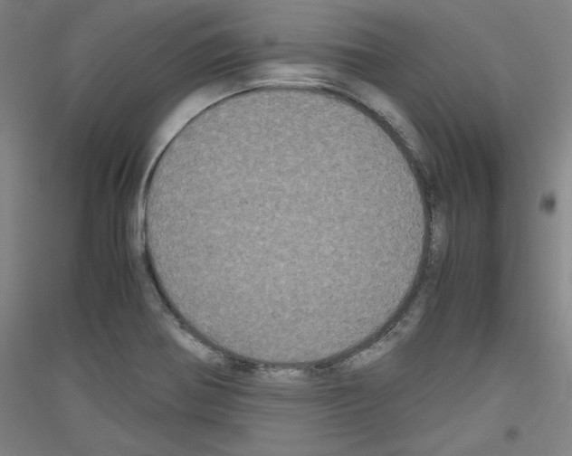 X0000116781370201001281113