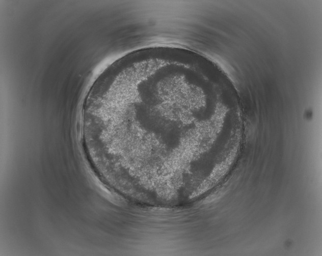 X0000116781371201001281113