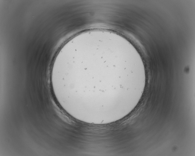 X0000116781372201001281112