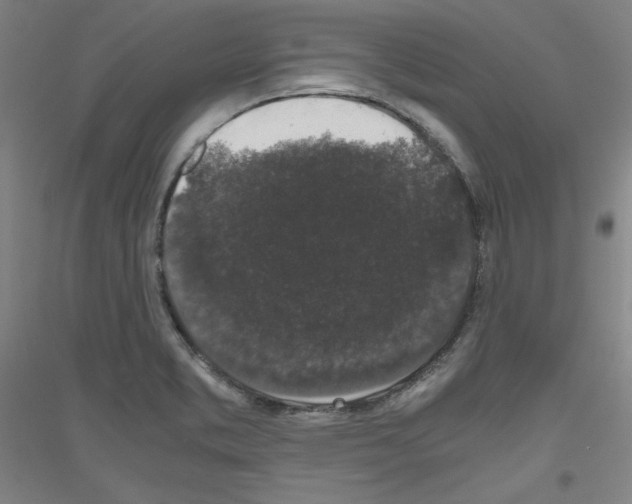 X0000116781373201001281112