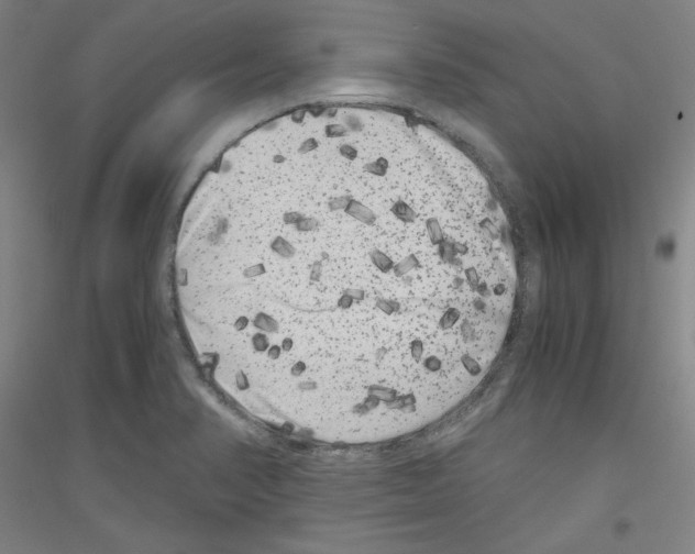 X0000116781374201001281112