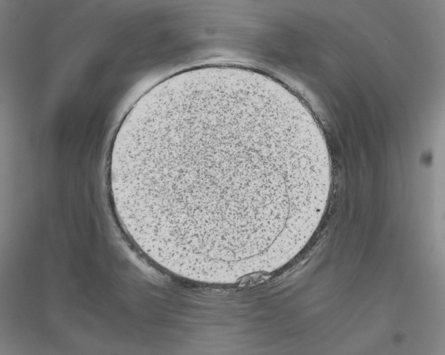 X0000116781375201001281112