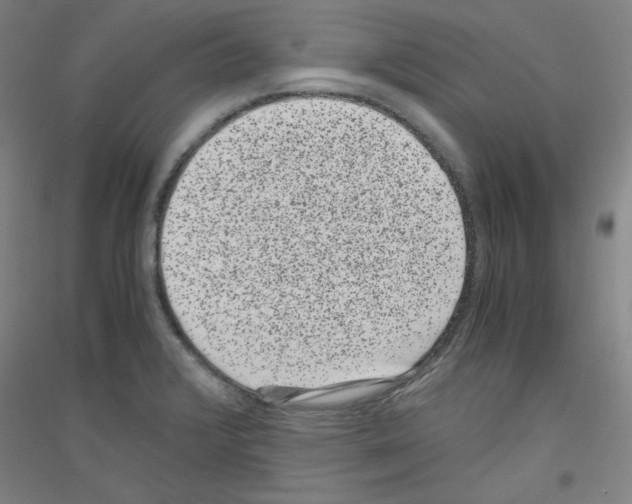 X0000116781376201001281112