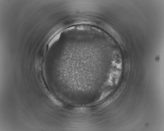 X0000116781377201001281112