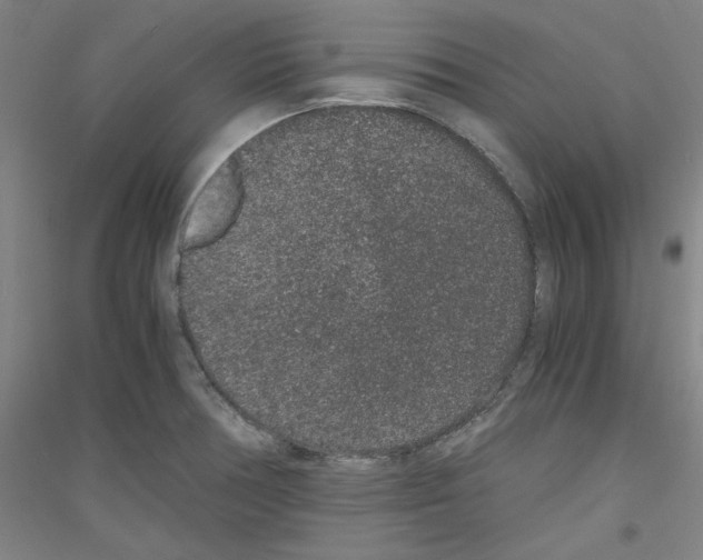 X0000116781378201001281112