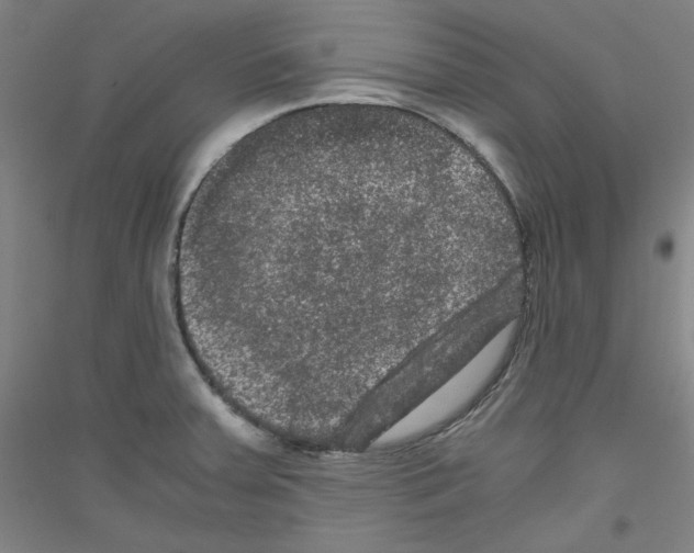 X0000116781379201001281112