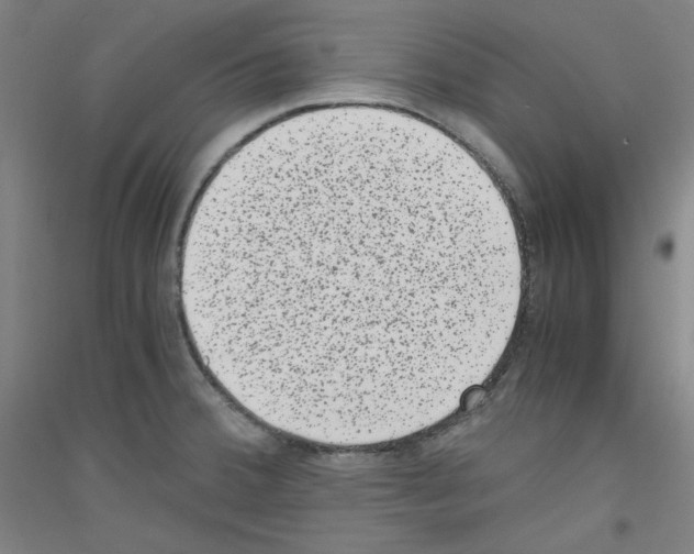 X0000116781380201001281112