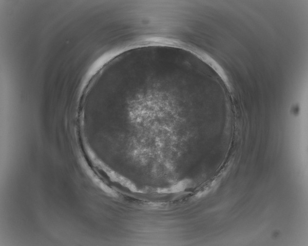 X0000116781381201001281112