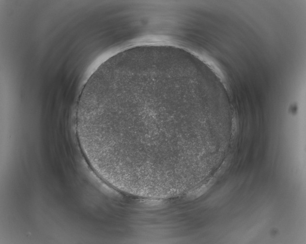 X0000116781382201001281112