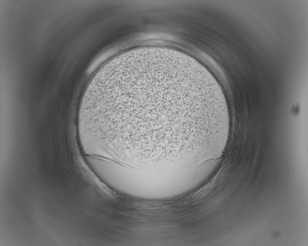 X0000116781384201001281112