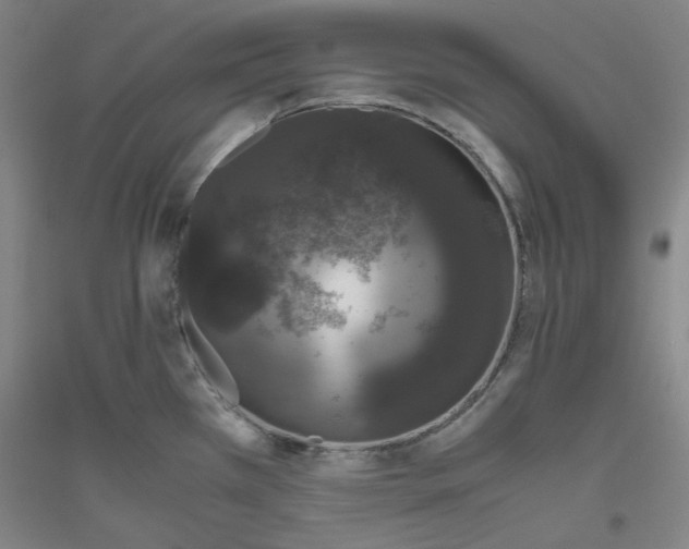 X0000116781385201001281112