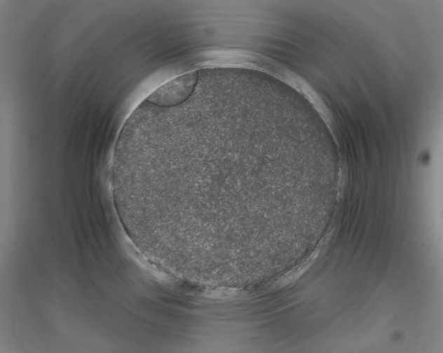 X0000116781386201001281112