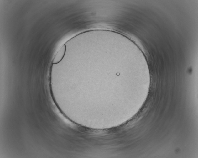 X0000116781387201001281112