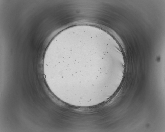 X0000116781388201001281112