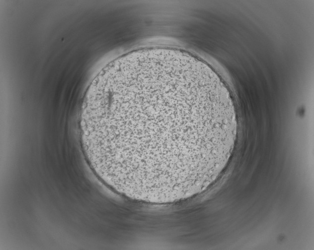 X0000116781390201001281112