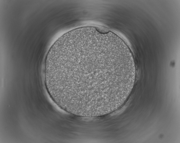 X0000116781391201001281112