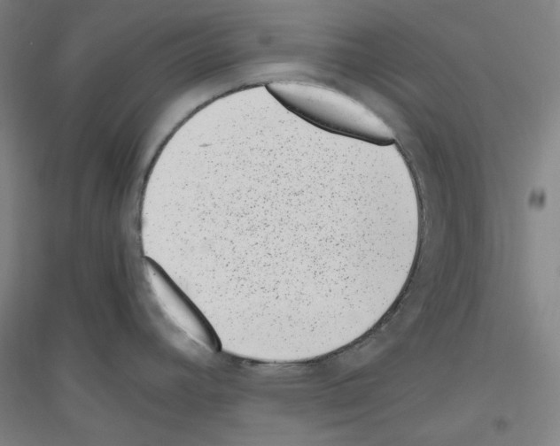 X0000116781392201001281112