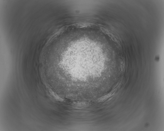 X0000116781393201001281112