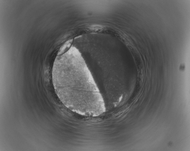 X0000116781394201001281112