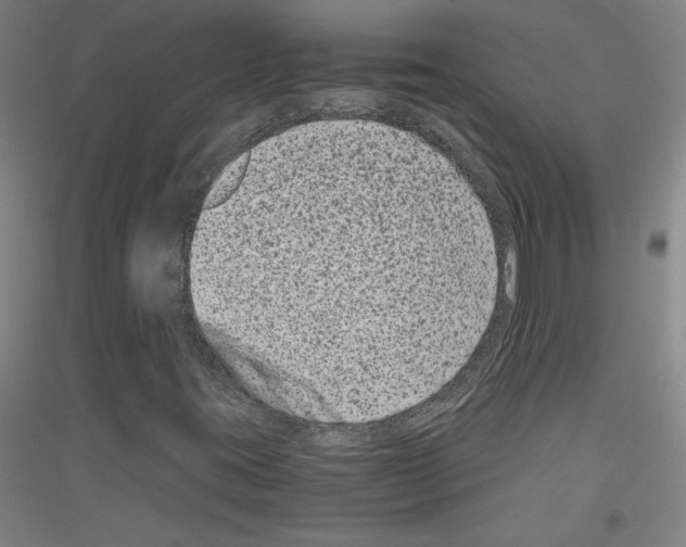 X0000116781395201001281112