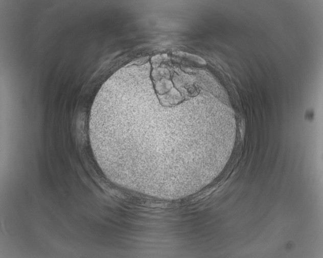 X0000116781396201001281112