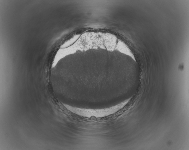 X0000116781398201001281112