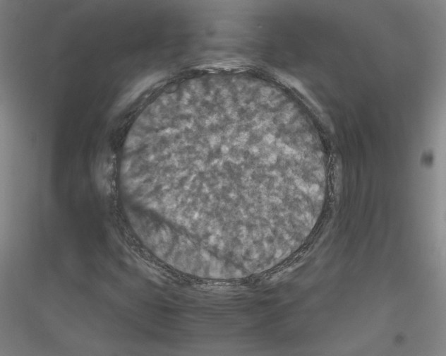 X0000116781399201001281112