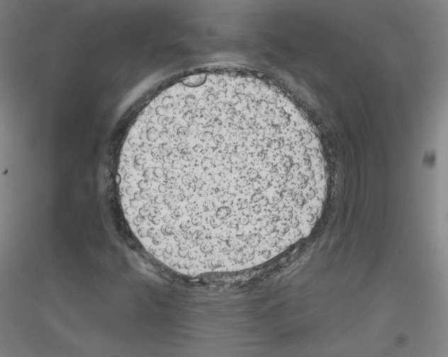 X0000116781400201001281112