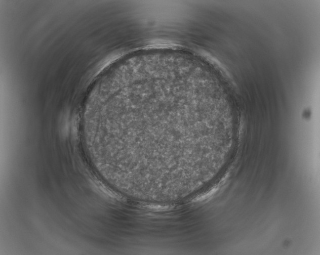 X0000116781401201001281112