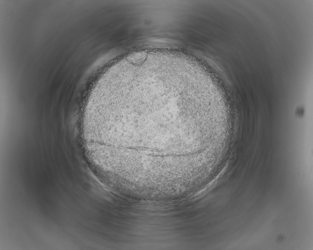 X0000116781402201001281112